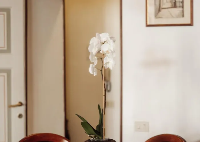 Residenza Granato * סיינה